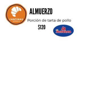 Porción de tarta de pollo